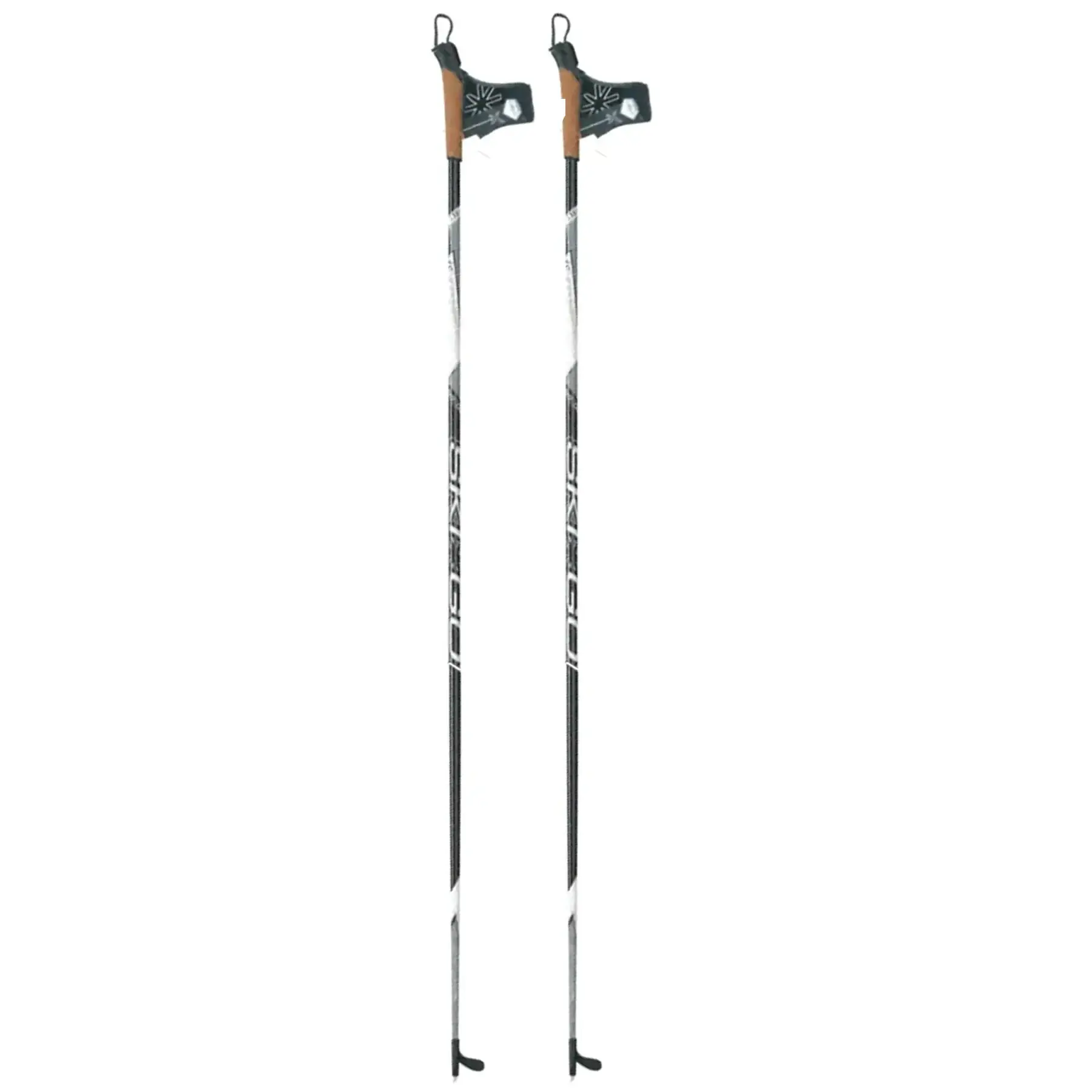 Bâton de ski Skigo XC
