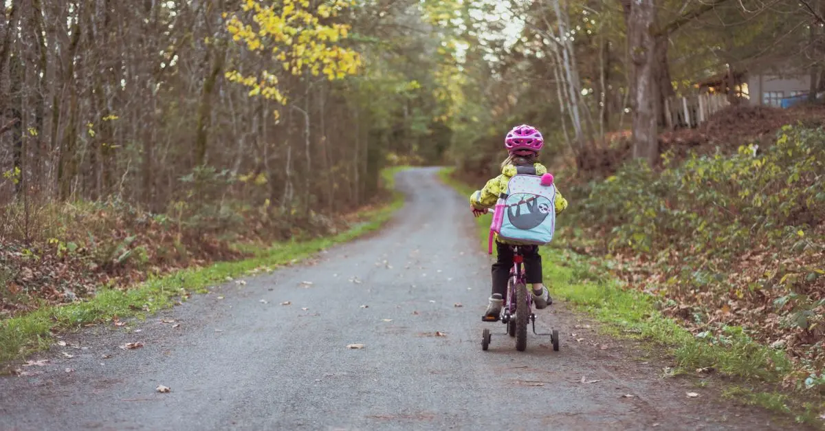 Quels Sont les Inconvénients du Cartable à Roulettes