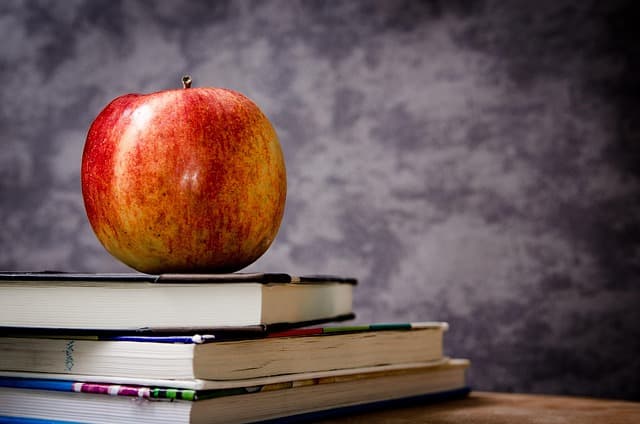 Comment Créer une Boîte à Outils pour le Retour en Classe