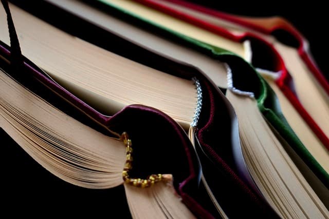 Les 10 Accessoires Essentiels pour un Retour en Classe Réussi